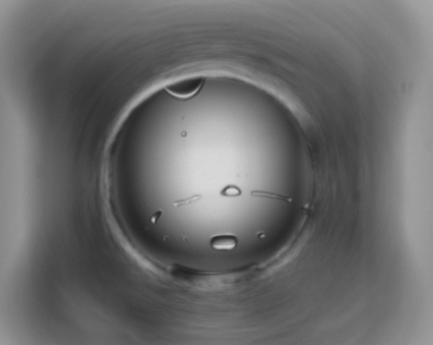 X0000114141526200910081254