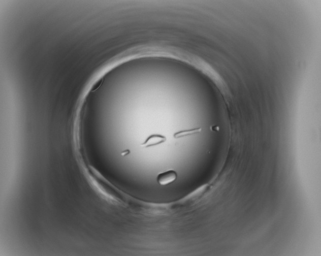 X0000114141528200910081254