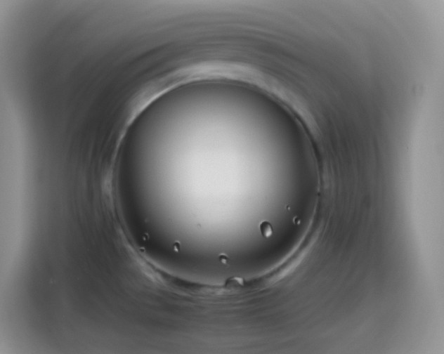 X0000114141529200910081254