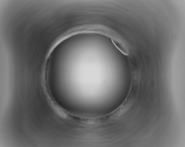 X0000114141530200910081254