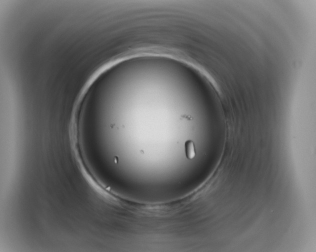 X0000114141531200910081254