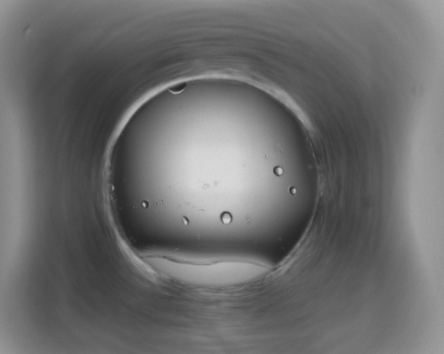 X0000114141532200910081254