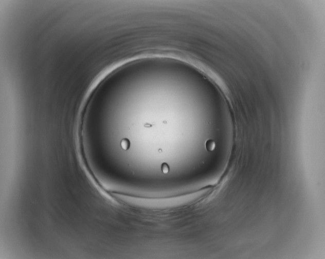 X0000114141533200910081254