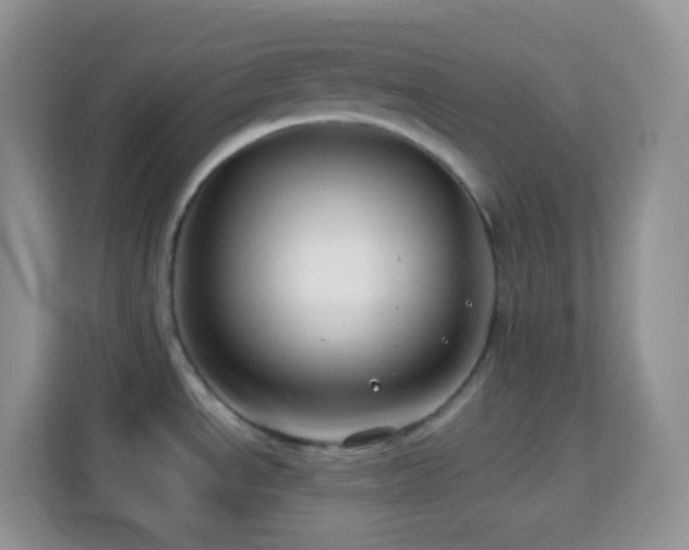 X0000114141534200910081255