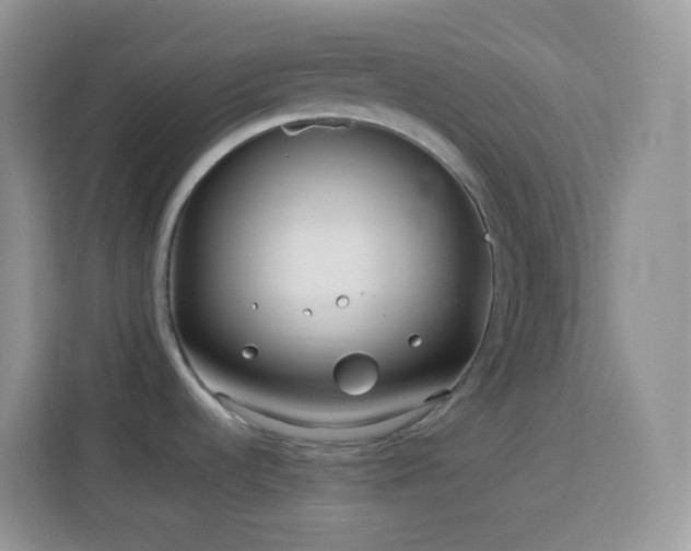 X0000114141536200910081255