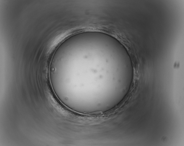 X0000114140005200910151620