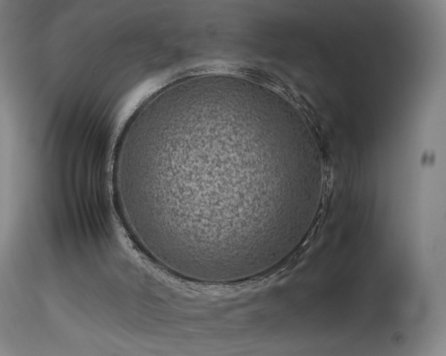 X0000114140006200910151620