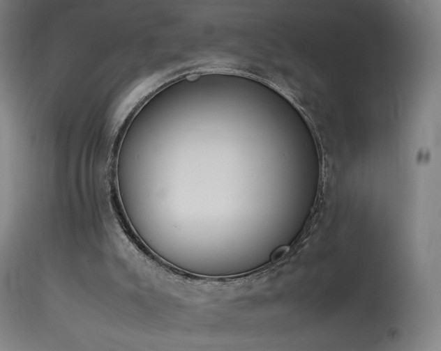 X0000114140007200910151620