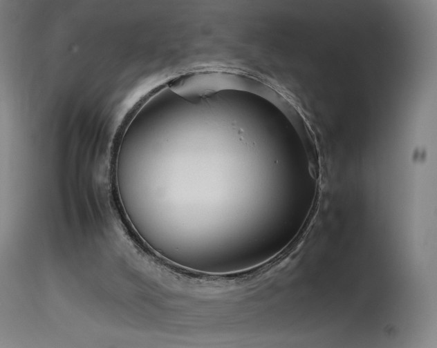 X0000114140008200910151620