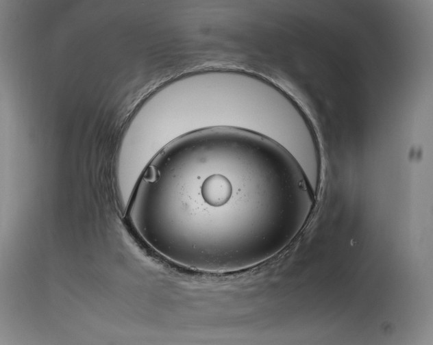 X0000114140009200910151620