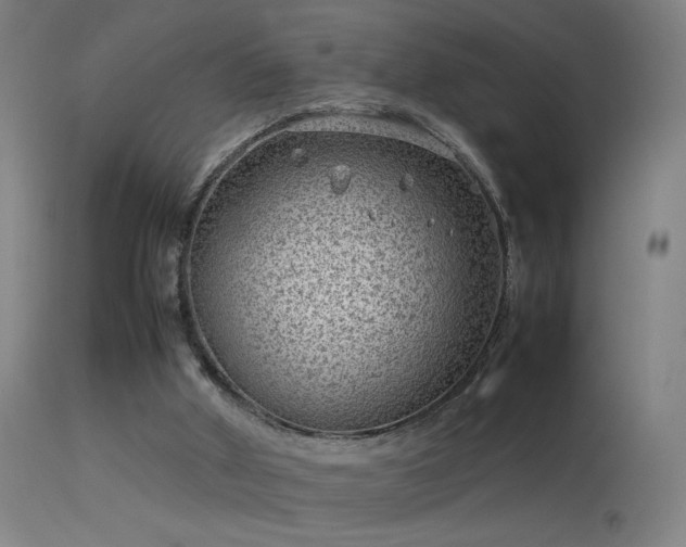 X0000114140010200910151620