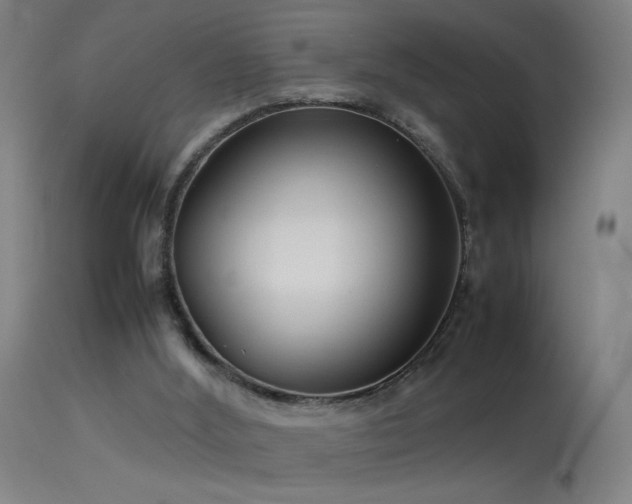 X0000114140012200910151620