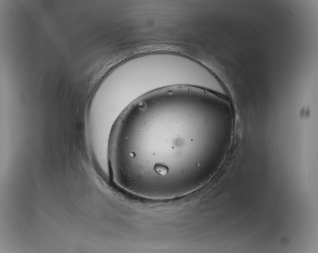 X0000114140013200910151620