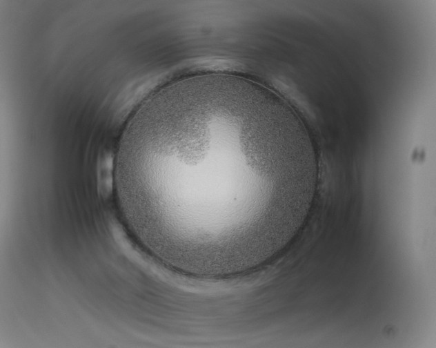 X0000114140014200910151620