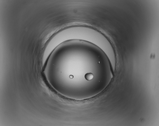 X0000114140015200910151620