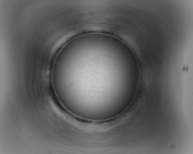 X0000114140016200910151620