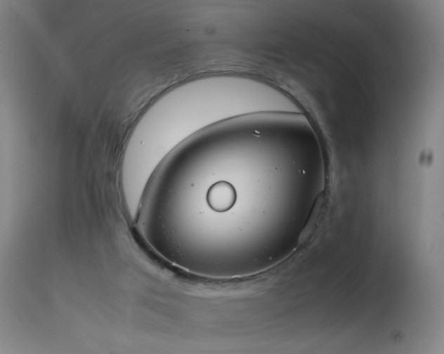 X0000114140017200910151620