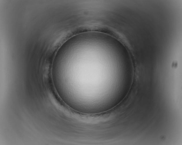 X0000114140018200910151620