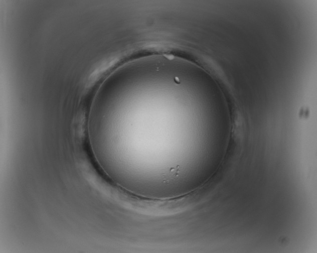 X0000114140023200910151620