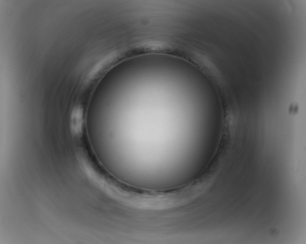 X0000114140024200910151620