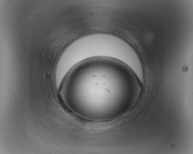 X0000114140025200910151620