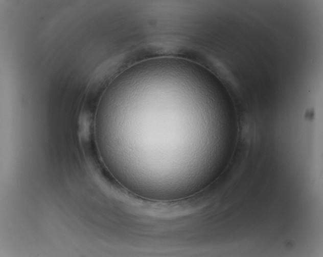 X0000114140026200910151620