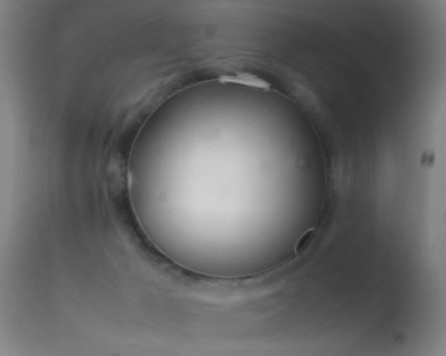 X0000114140029200910151620