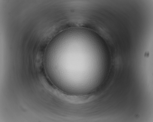 X0000114140030200910151620