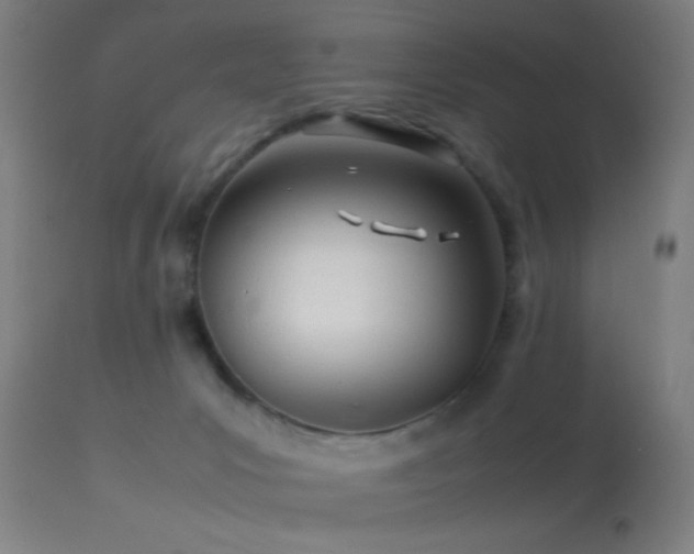 X0000114140031200910151620