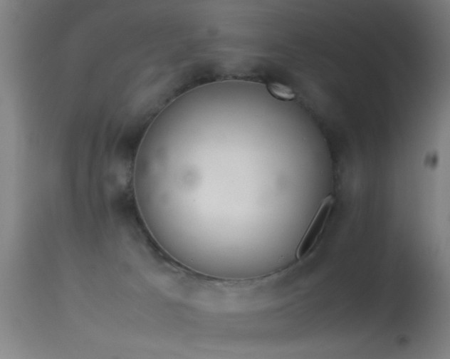 X0000114140033200910151620