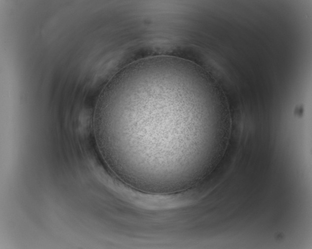 X0000114140034200910151620