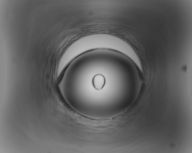 X0000114140035200910151620