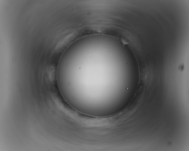 X0000114140036200910151620