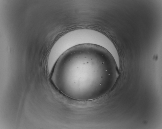 X0000114140037200910151620