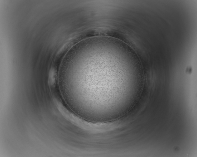 X0000114140038200910151620