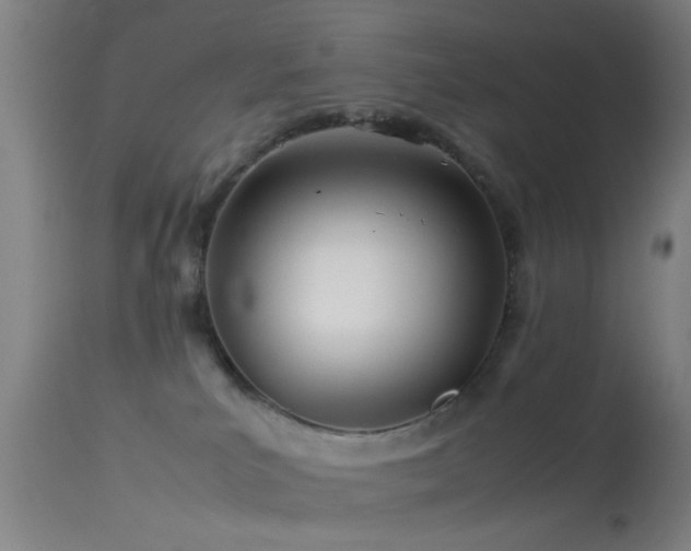 X0000114140039200910151620