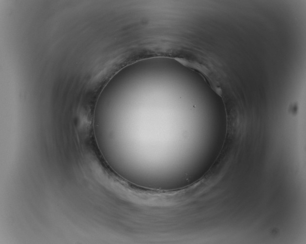 X0000114140040200910151620