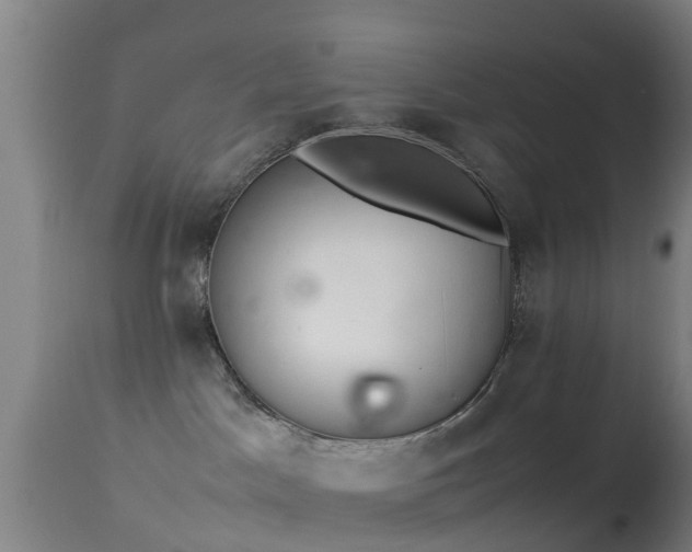 X0000114140045200910151620