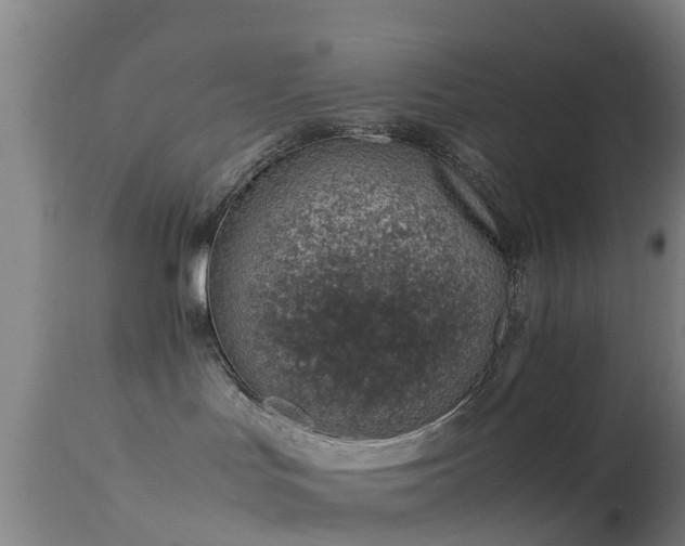 X0000114140047200910151620