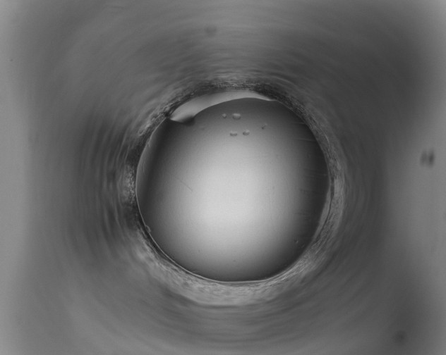 X0000114140048200910151620