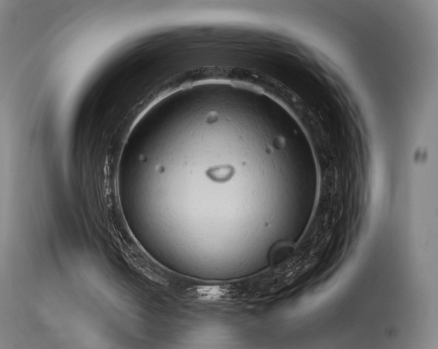 X0000114140050200910151619