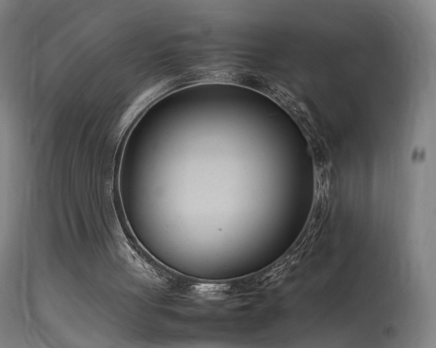 X0000114140051200910151619