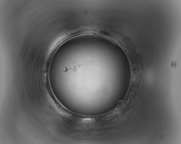 X0000114140053200910151619