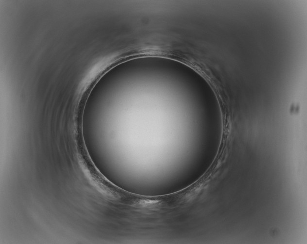 X0000114140055200910151619