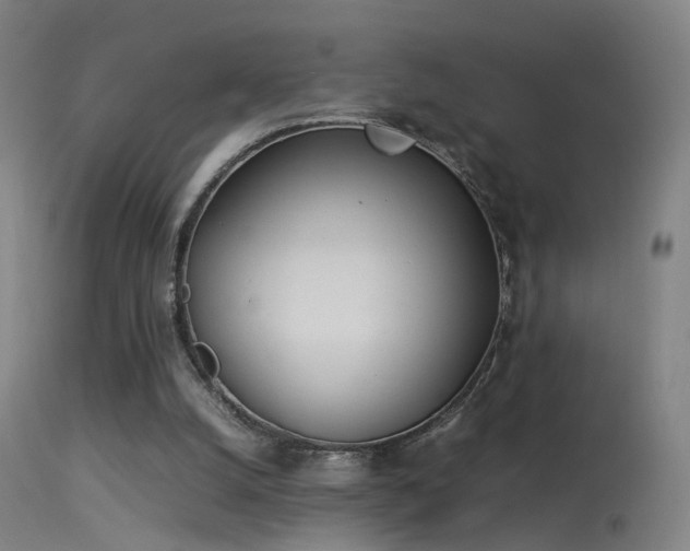 X0000114140056200910151619