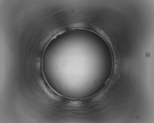 X0000114140057200910151619