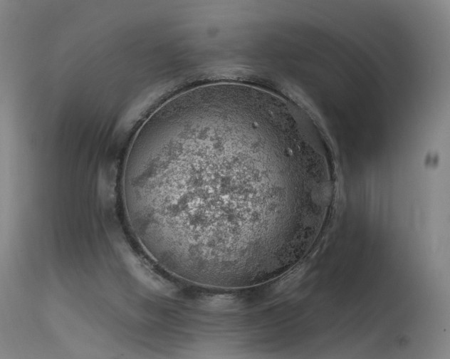 X0000114140058200910151619