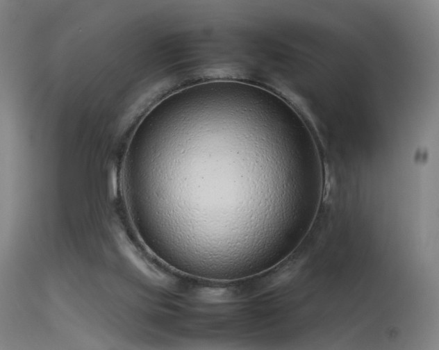 X0000114140061200910151619