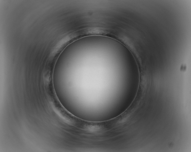 X0000114140063200910151619