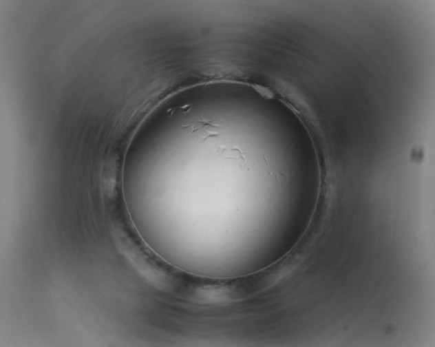 X0000114140065200910151619